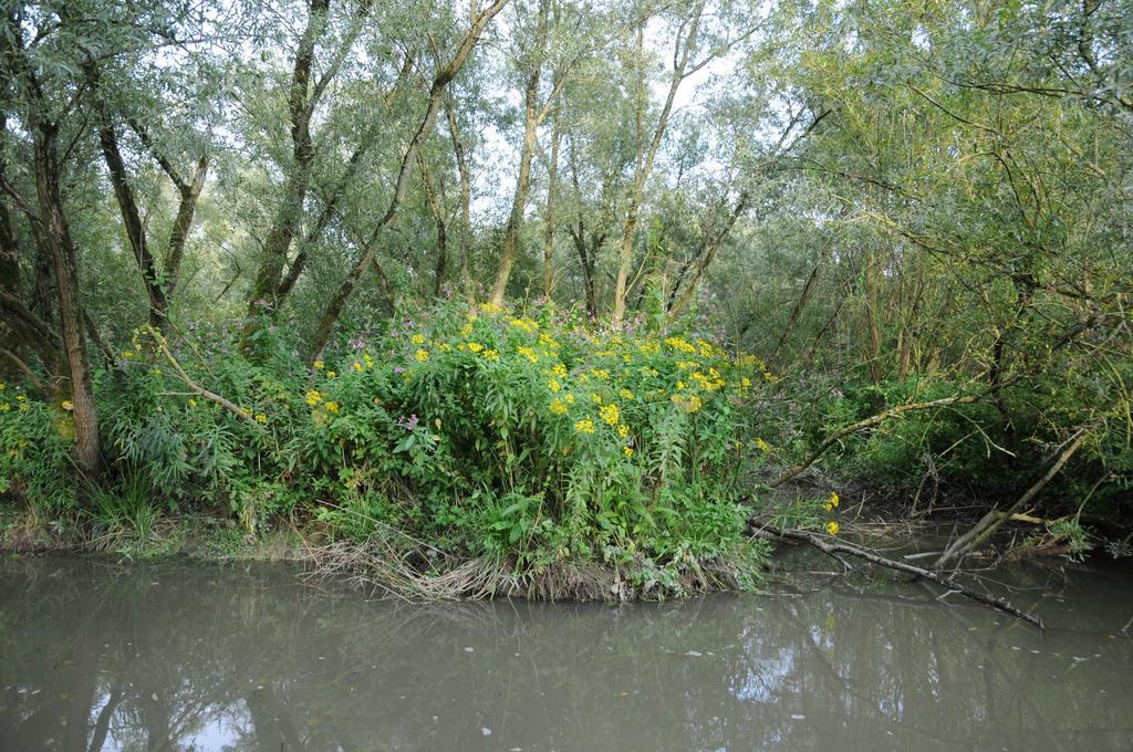 De Brabantse Biesbosch Hotel Werkendam ภายนอก รูปภาพ