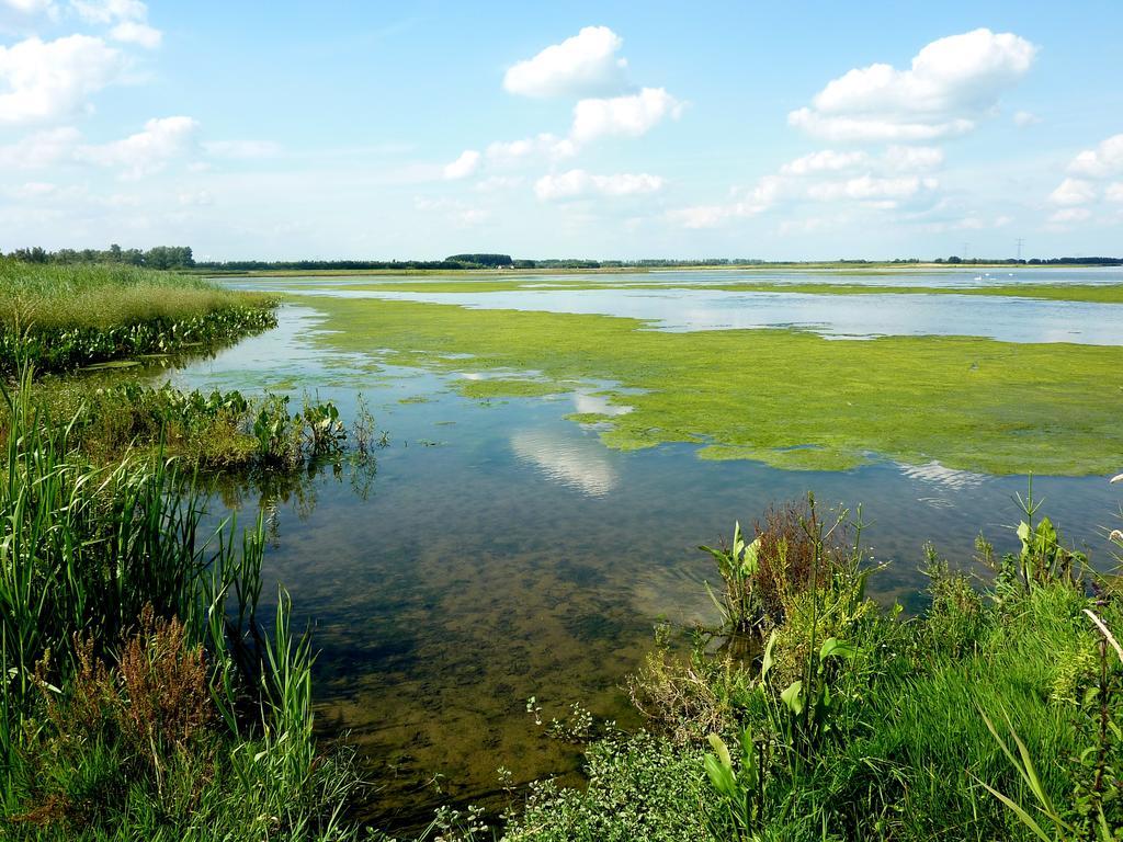 De Brabantse Biesbosch Hotel Werkendam ภายนอก รูปภาพ