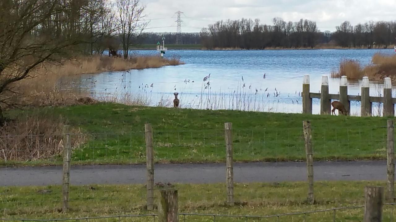 De Brabantse Biesbosch Hotel Werkendam ภายนอก รูปภาพ