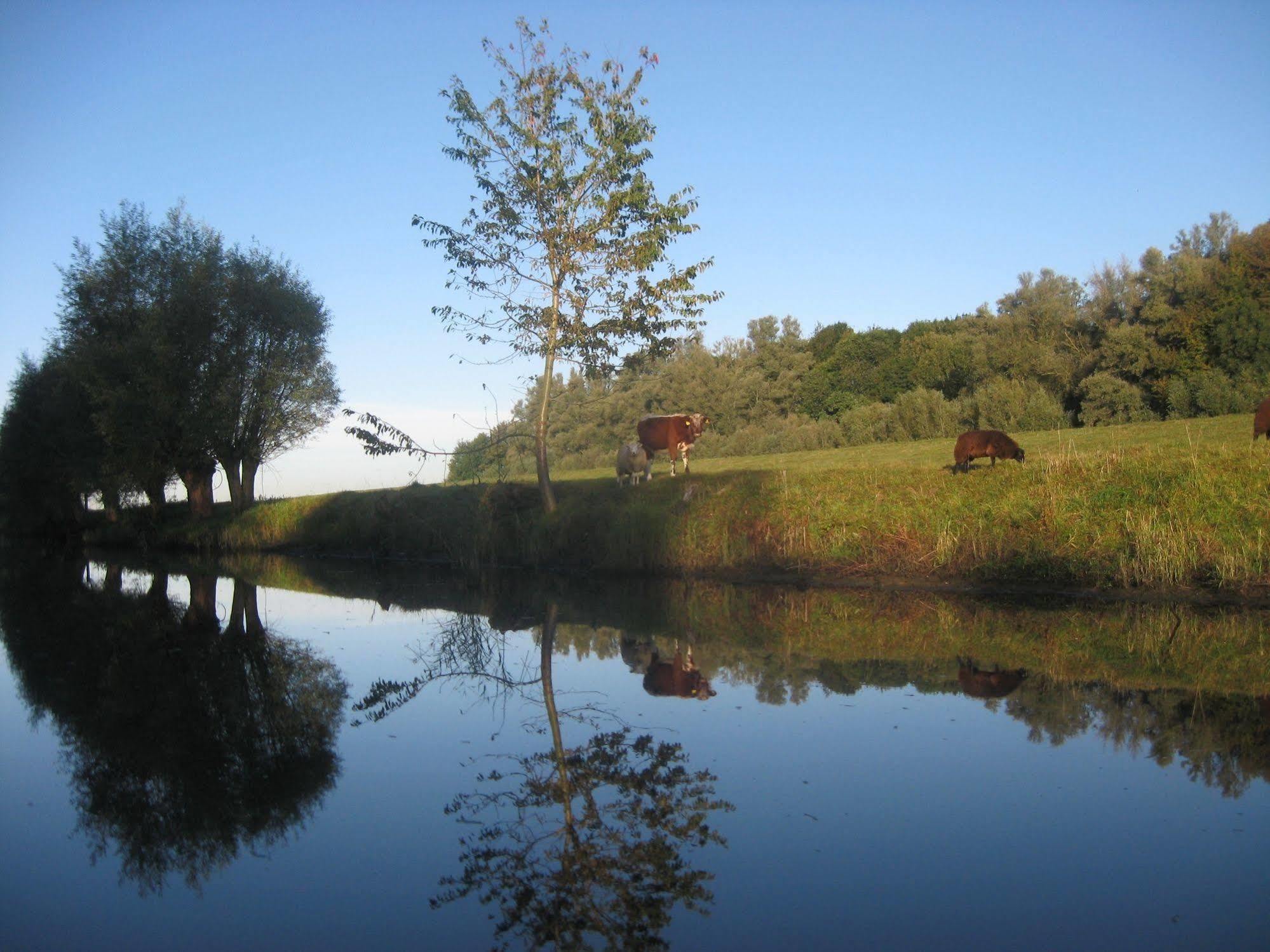 De Brabantse Biesbosch Hotel Werkendam ภายนอก รูปภาพ