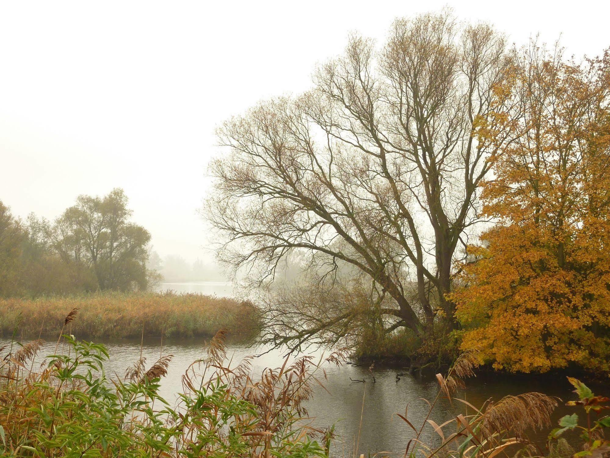 De Brabantse Biesbosch Hotel Werkendam ภายนอก รูปภาพ