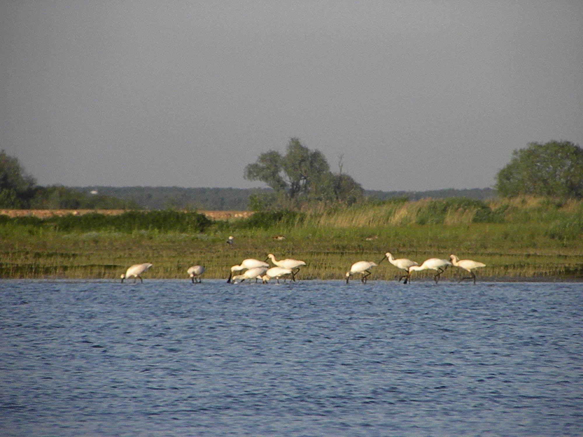 De Brabantse Biesbosch Hotel Werkendam ภายนอก รูปภาพ