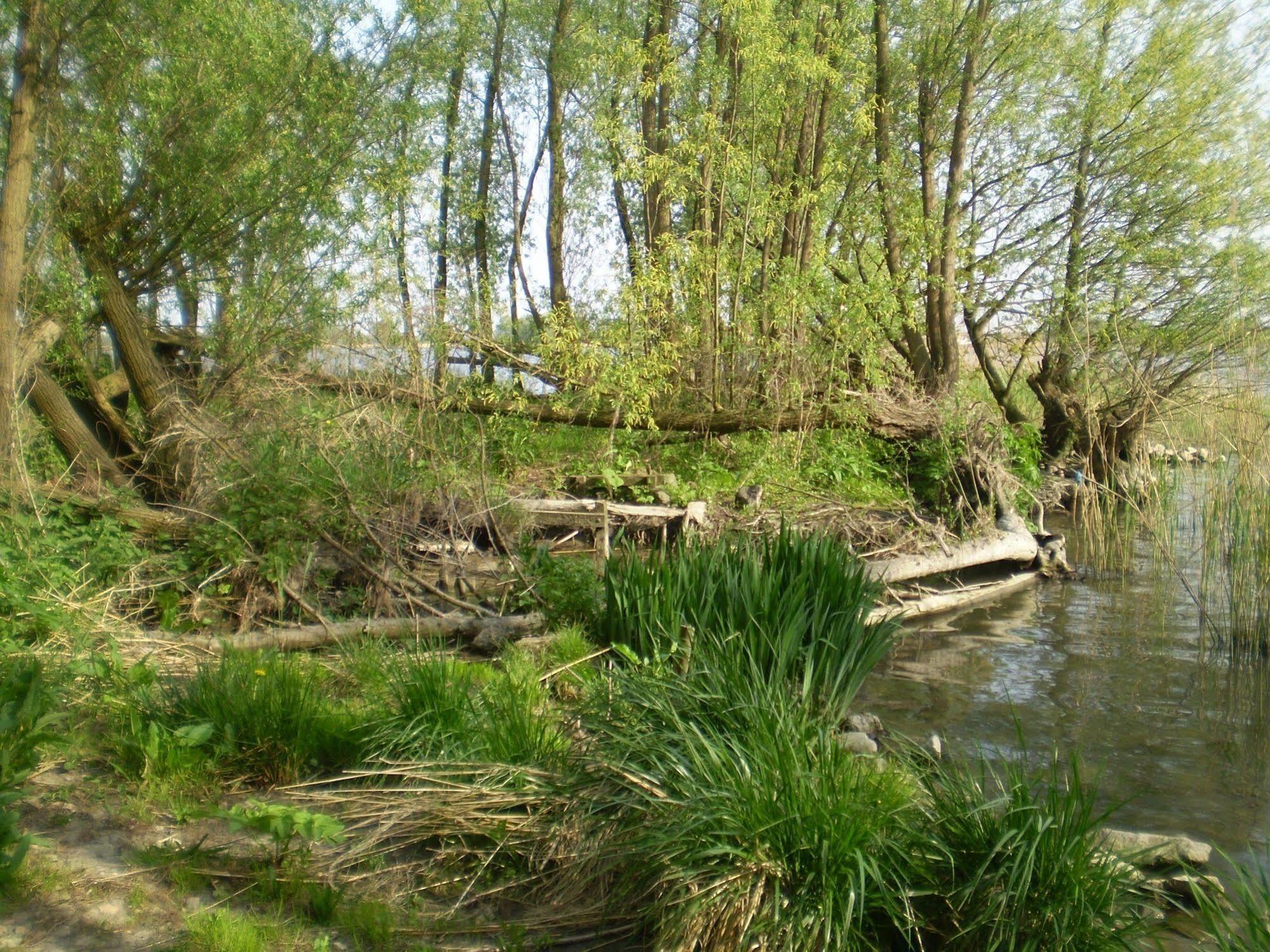 De Brabantse Biesbosch Hotel Werkendam ภายนอก รูปภาพ